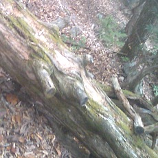 141004_p20.jpg