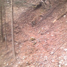 141210_p13.jpg