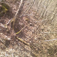 150429_p11.jpg