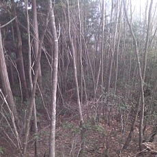 150430_p02.jpg