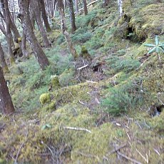 150522_p25.jpg