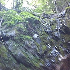 150605_p19.jpg