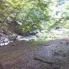 150919_p01.jpg