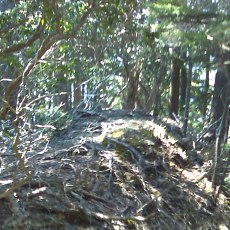 160505_p16.jpg
