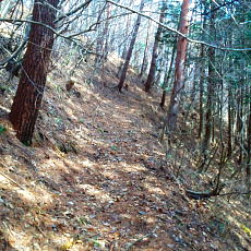 170304_p16.jpg