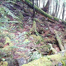 171008_p32.jpg