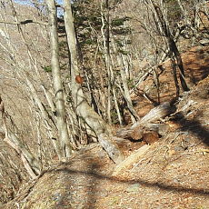 190420_p01.jpg