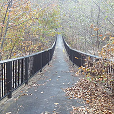 191104_p39.jpg