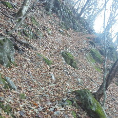 191129_p05.jpg