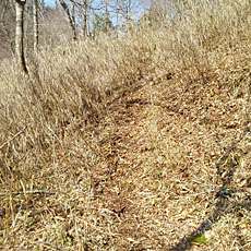 200001_p06.jpg