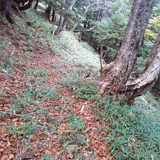 201004_p23.jpg