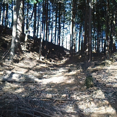 201206_p48.jpg
