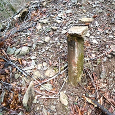 220416_p12.jpg