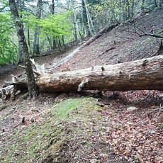 220515_p17.jpg