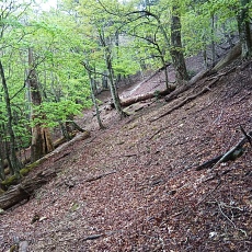 220515_p16.jpg