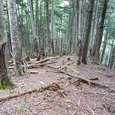 220618_p34.jpg
