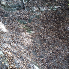 231030_p05.jpg