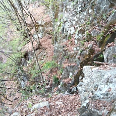 230502_p25.jpg