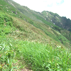 100624_p02.jpg