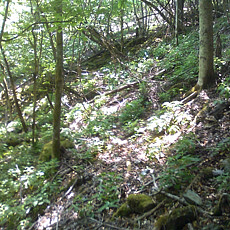 130526_p13.jpg