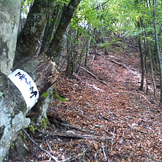 130526_p25.jpg