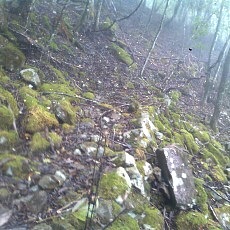 131006_p03.jpg