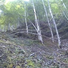 140922_p28.jpg