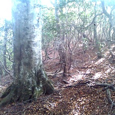 141011_n01.jpg