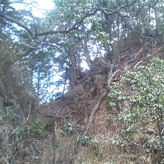 150429_p28.jpg