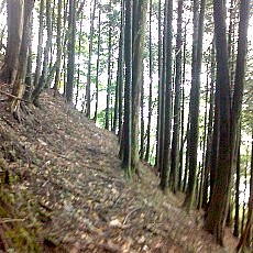 150704_p04.jpg