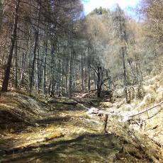 160419-02_p03.jpg