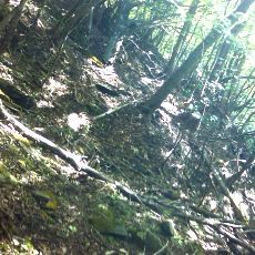 160603_p19.jpg