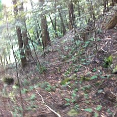 160903_p06.jpg