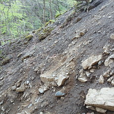 170429_p02.jpg
