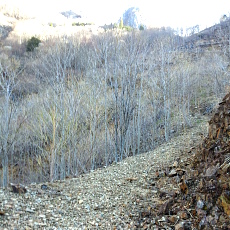 180412_p12.jpg