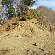 180412_p16.jpg