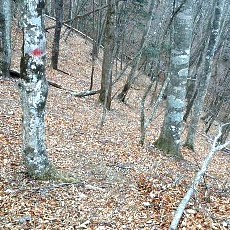 190323_p21.jpg
