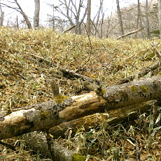 190427_p13.jpg