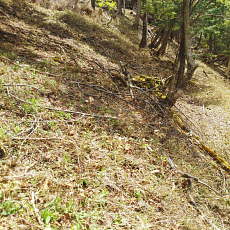 200024_p01.jpg