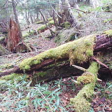 201004_p25.jpg