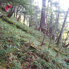 201004_p45.jpg