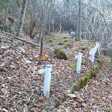 201206_p61.jpg