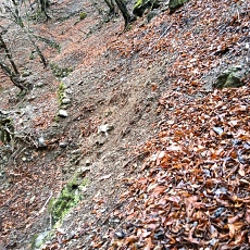 220416_p04.jpg
