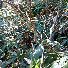 241112_p21.jpg