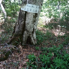 250629_p13.jpg