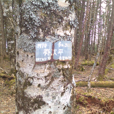 110430_p05.jpg