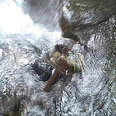 130713_p04.jpg