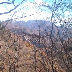 141103_p10.jpg