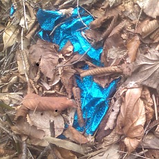 150429_p23.jpg