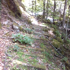 150605_p09.jpg